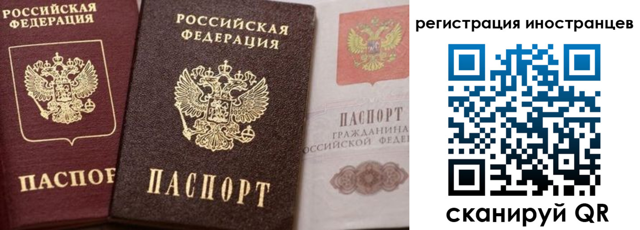 временная регистрация купить в Волгоградской области